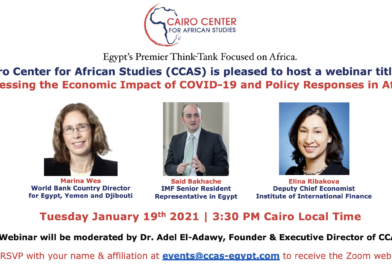 Assessing the Economic Impact of COVID-19 and Policy Responses in Africa
